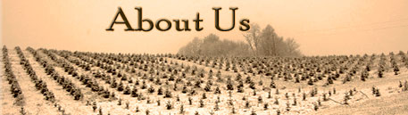 About Us