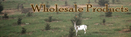 Wholesale Products